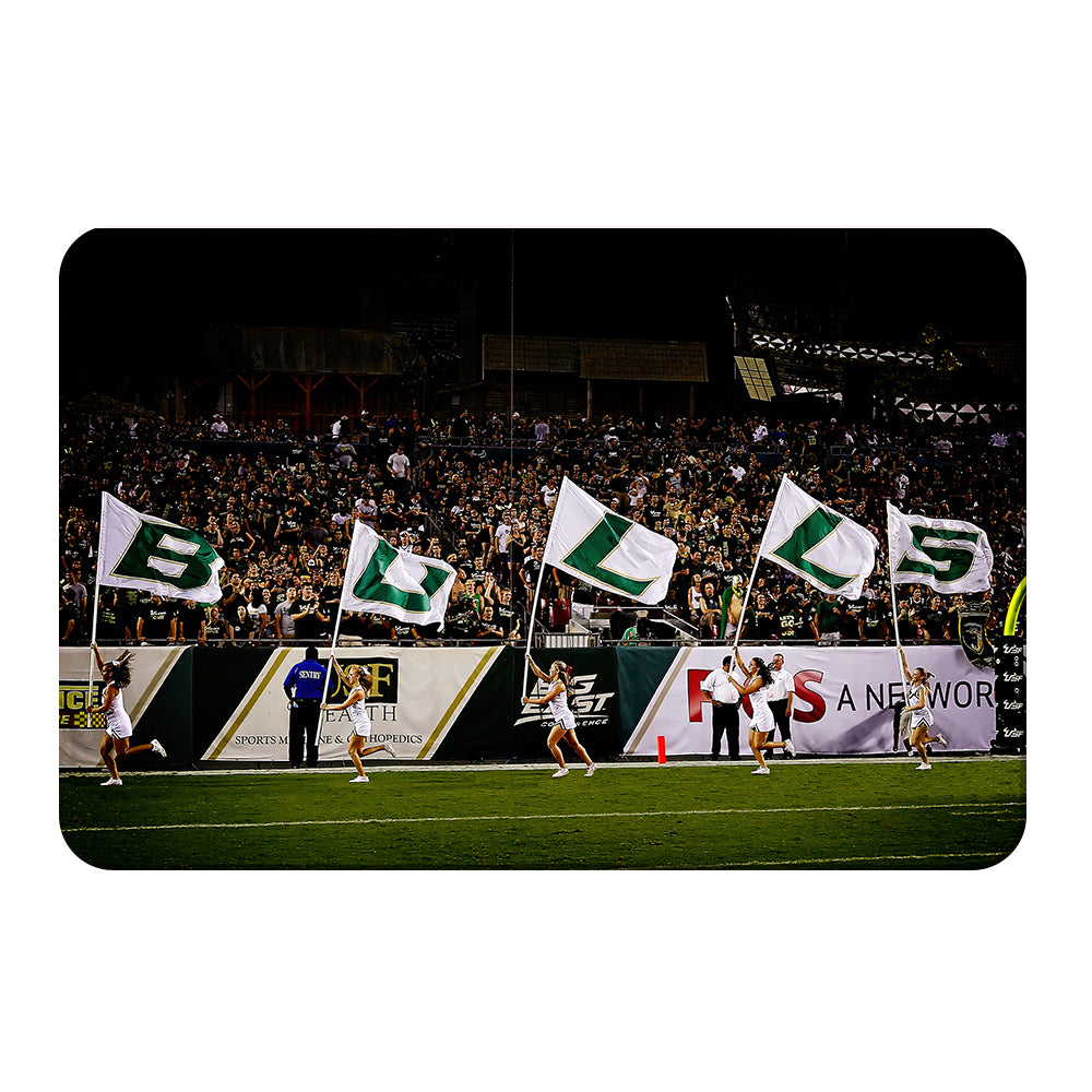 USF Bulls - Bulls Flags - College Wall Art #Canvas