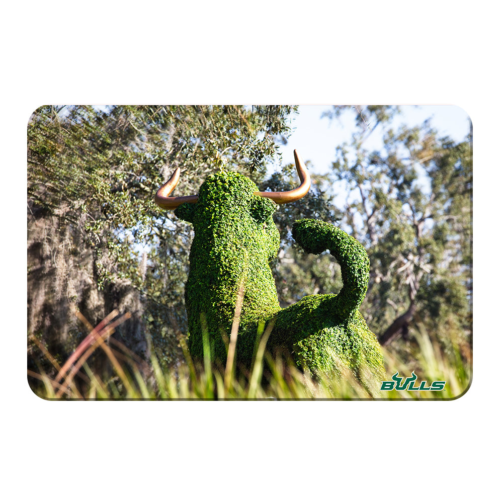 USF Bulls - Bull Watch - College Wall Art #Canvas