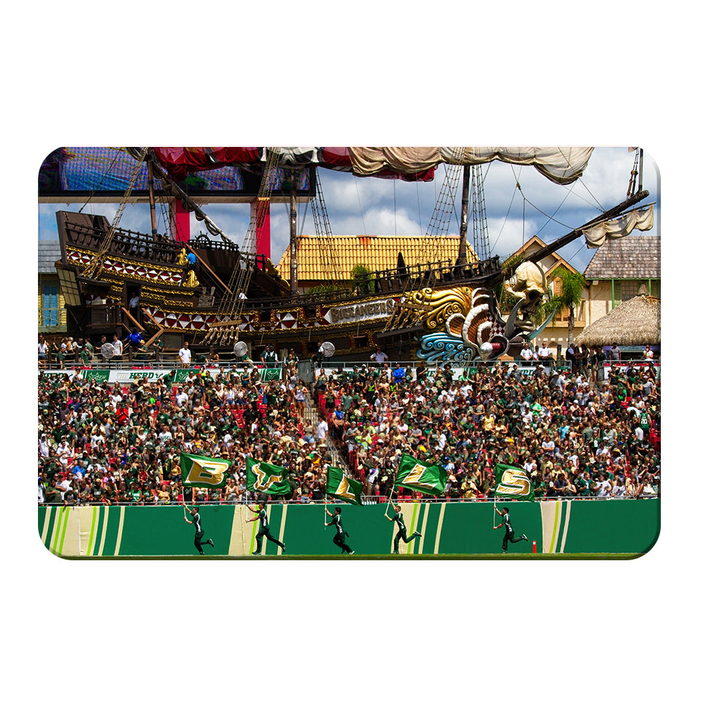 USF Bulls - Bulls in RayJay - College Wall  Art #Canvas