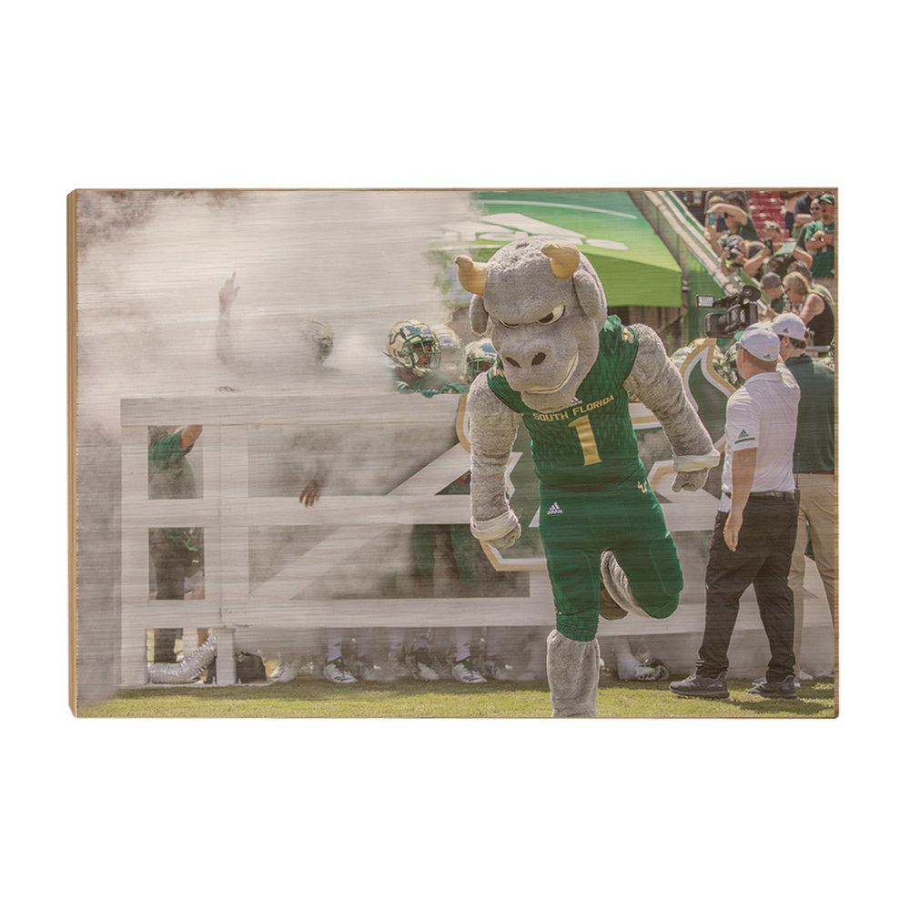 USF Bulls -Bulls Stampeed - College Wall Art #Canvas