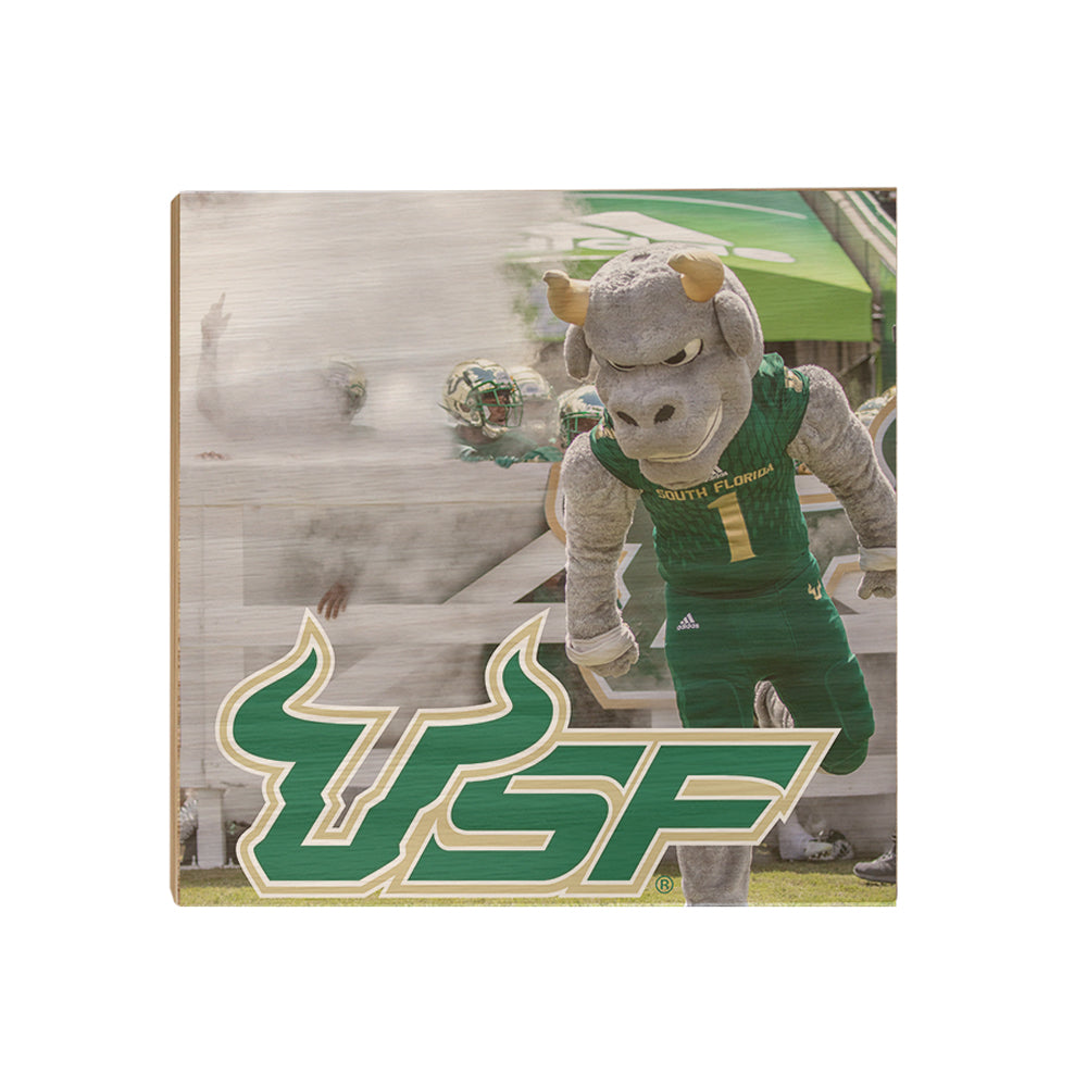 USF Bulls - USF Bulls Stampeed - College Wall Art #Canvas
