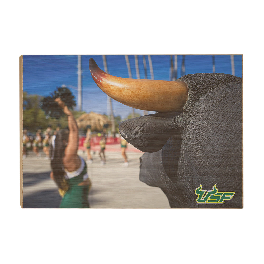 USF Bulls - Bulls Watch - College Wall Art #Canvas