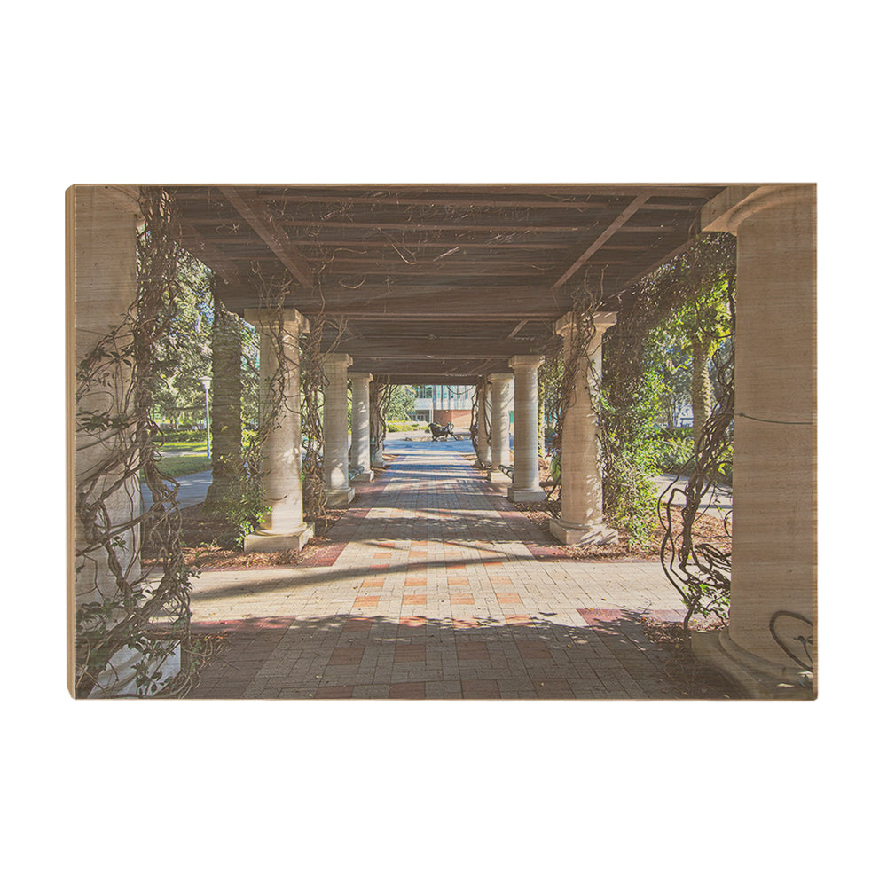 USF Bulls - The Trestle - College Wall Art #Canvas