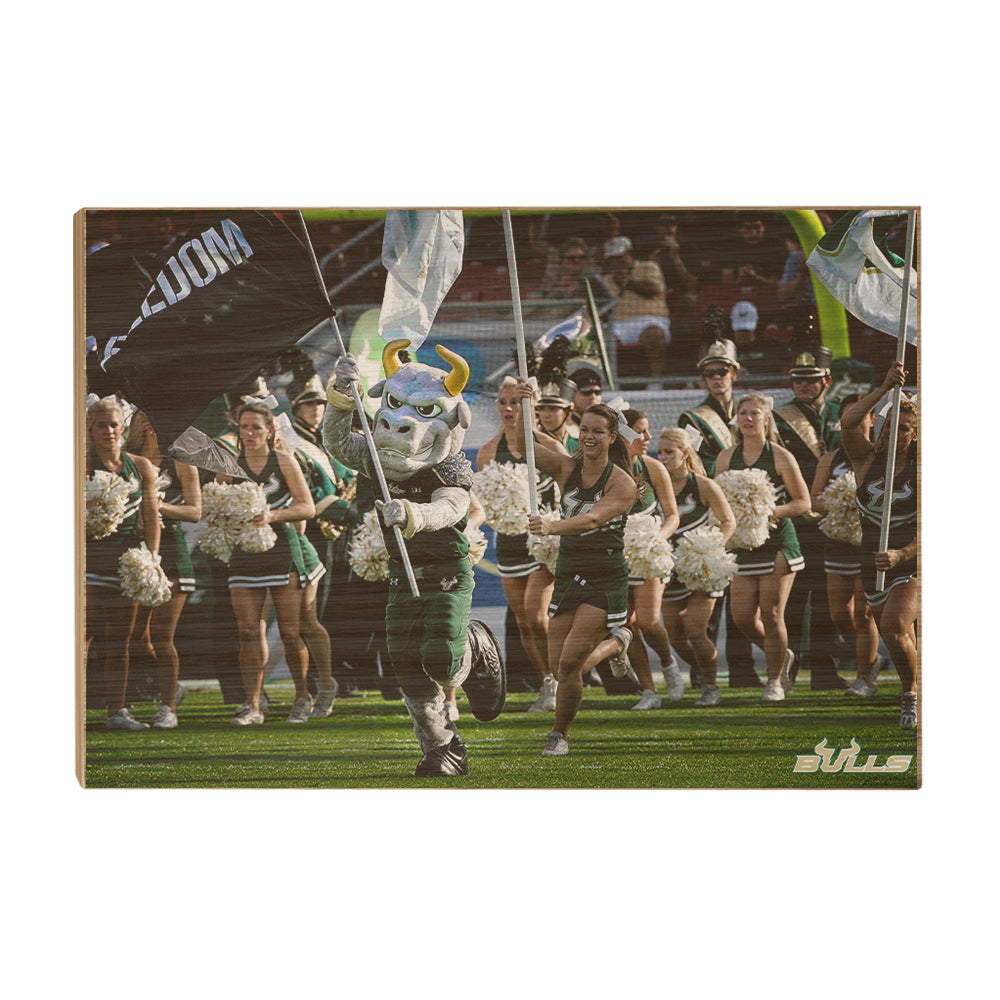 USF Bulls - Freedom -College Wall Art #Canvas