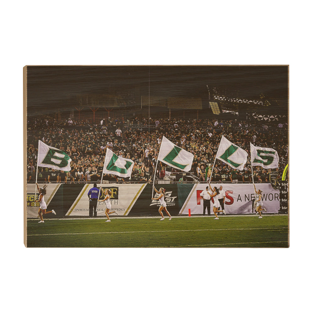 USF Bulls - Bulls Flags - College Wall Art #Canvas