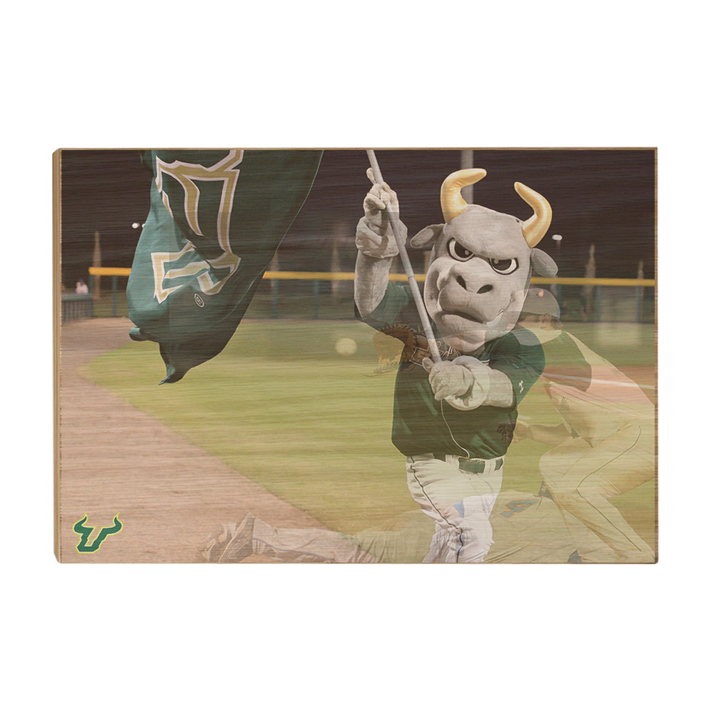 USF Bulls - Bulls Baseball - College Wall Art #Canvas