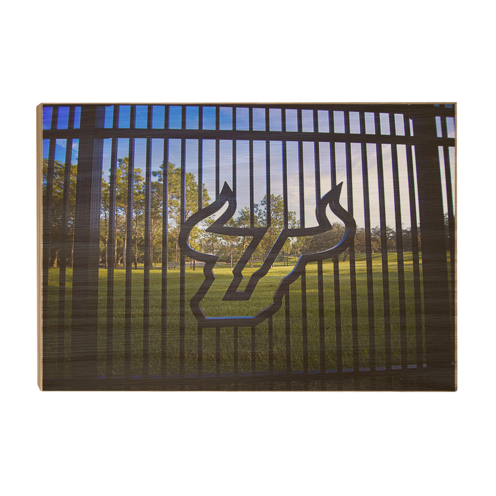 USF Bulls - Bulls Country - College Wall Art #Canvas