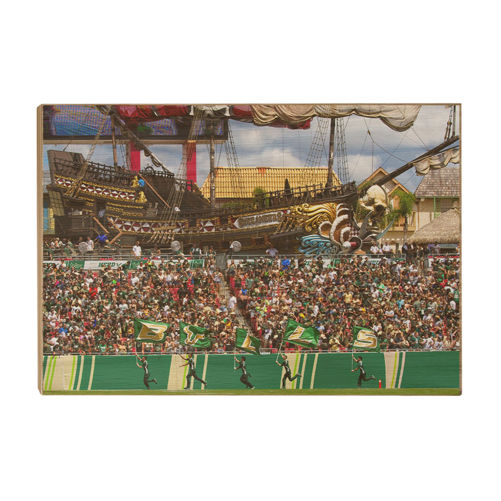 USF Bulls - Bulls in RayJay - College Wall  Art #Canvas