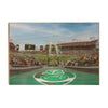 USF Bulls - Enter USF Bulls 25th Football Anniversary - College Wall Art #Wood