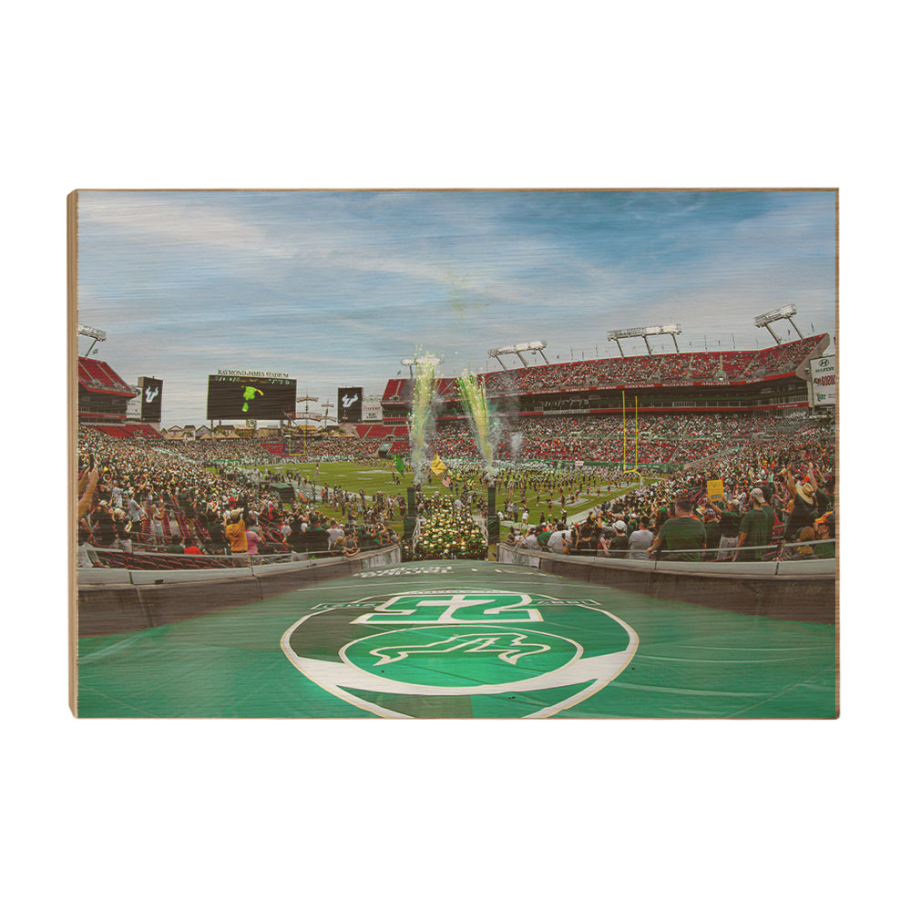 USF Bulls - Enter USF Bulls 25th Football Anniversary - College Wall Art #Canvas