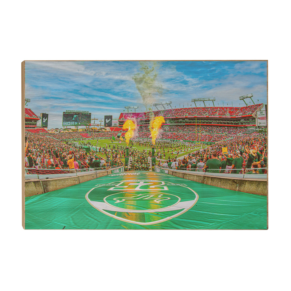 USF Bulls - Enter Bulls - College Wall Art  #Canvas