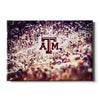 Texas A&M - A&M Towels - College Wall Art #Canvas