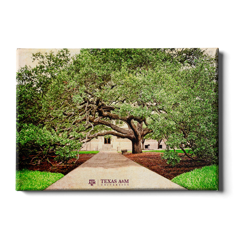 Texas A&M Gig'Em Script 3D Vintage Wall Art – Hex Head Art