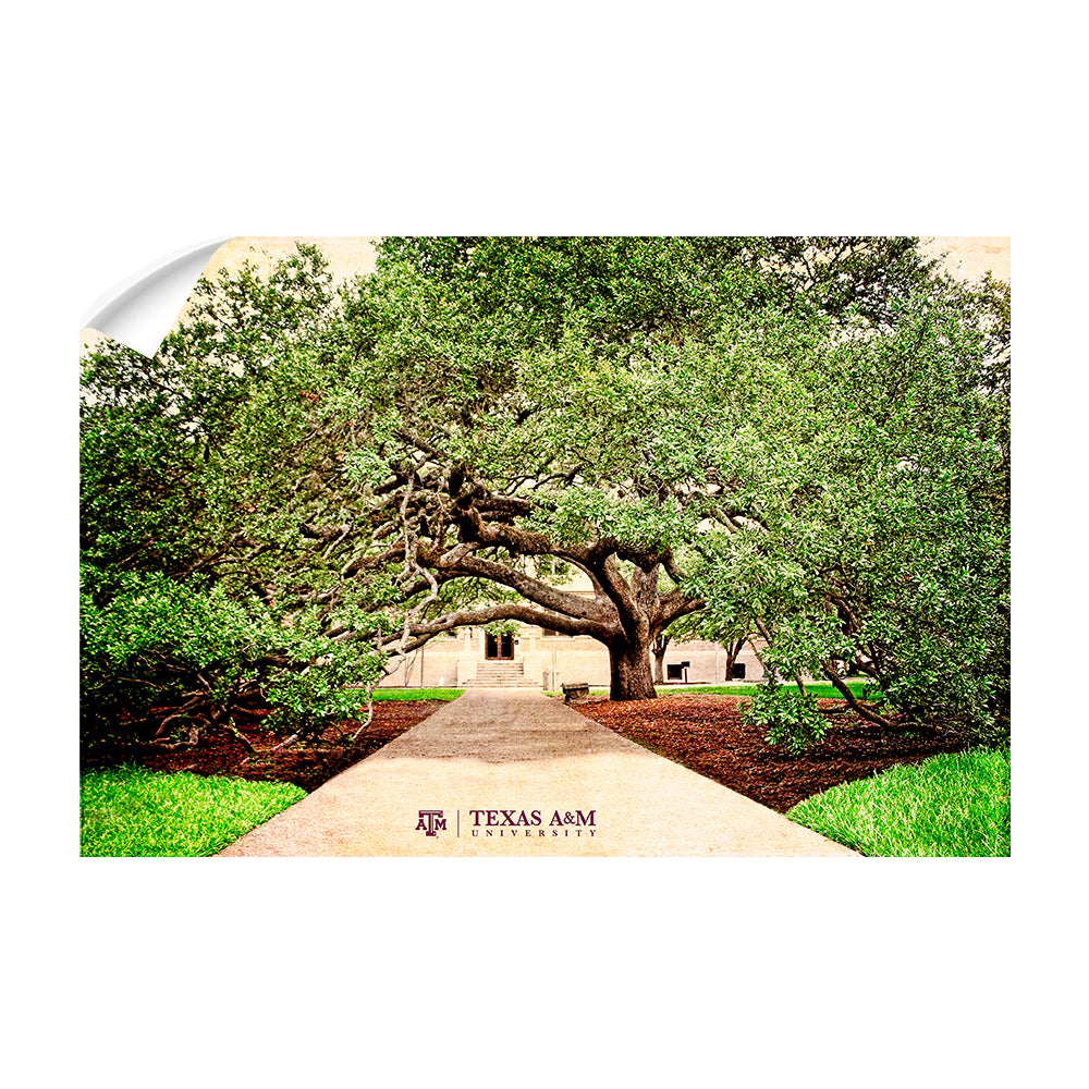 Texas A&M - Century Tree - College Wall Art - College Wall Art #Canvas