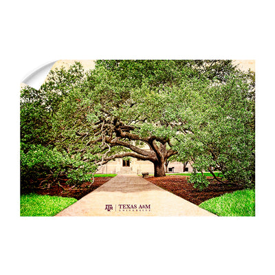 Texas A&M - Century Tree - College Wall Art - College Wall Art #Wall Decal