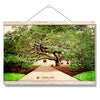 Texas A&M - Century Tree - College Wall Art - College Wall Art #Hanging Canvas