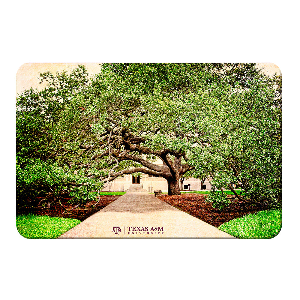 Texas A&M - Century Tree - College Wall Art - College Wall Art #Canvas