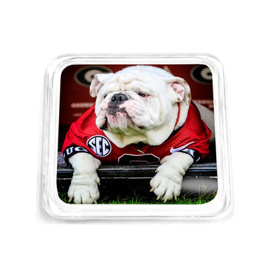 Georgia Bulldogs - Uga Chillin' Drink Coaster