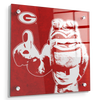Georgia Bulldogs - Georgia Dawg - College Wall Art #Acrylic