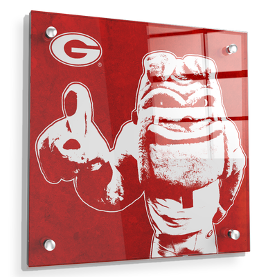 Georgia Bulldogs - Georgia Dawg - College Wall Art #Acrylic