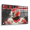 Georgia Bulldogs - Georgia - College Wall Art #Acrylic