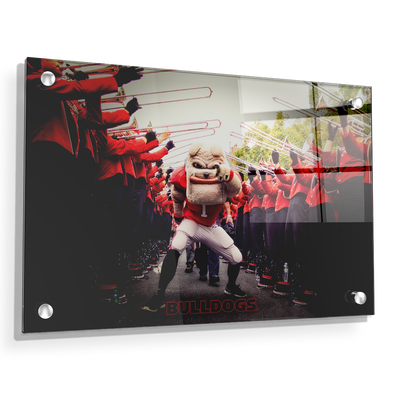 Georgia Bulldogs - Dawg Walk - College Wall Art #Acrylic