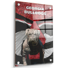 Georgia Bulldogs - Georgia Bulldogs - College Wall Art #Acrylic