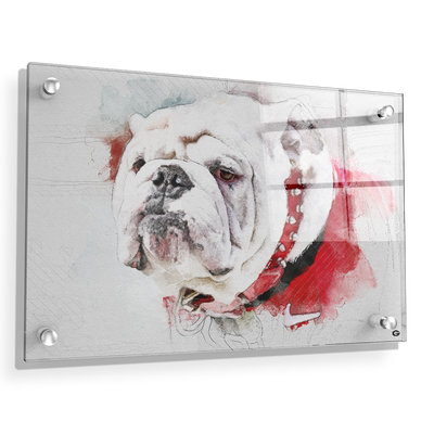 Georgia Bulldogs - Uga Painting - College Wall Art #Acrylic