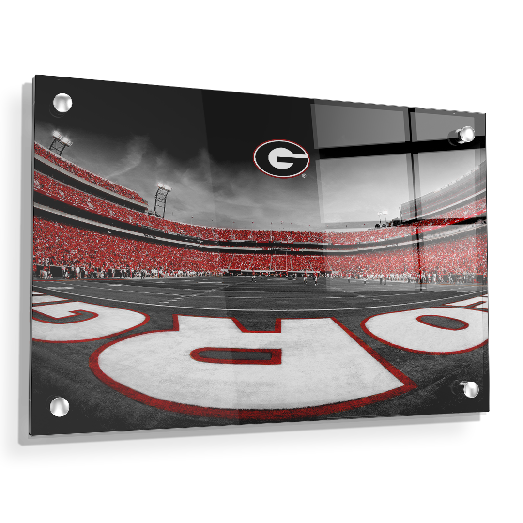 Georgia Bulldogs - Sanford Stadium End Zone Duotone - College Wall Art #Canvas