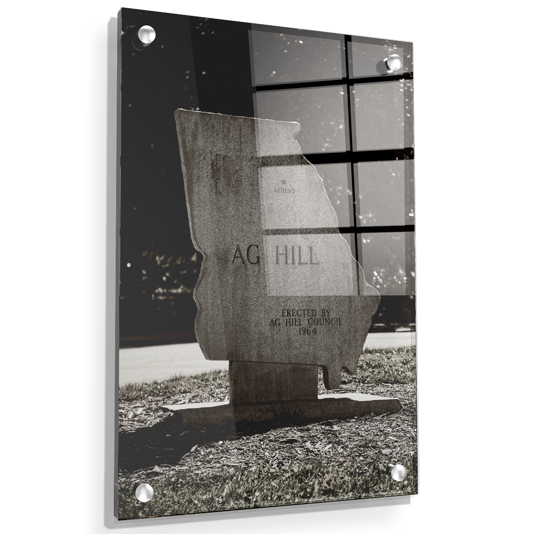 Georgia Bulldogs - AG Hill - College Wall Art #Canvas