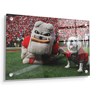 Georgia Bulldogs - Hairy and Uga Game Ready - College Wall Art #Acrylic