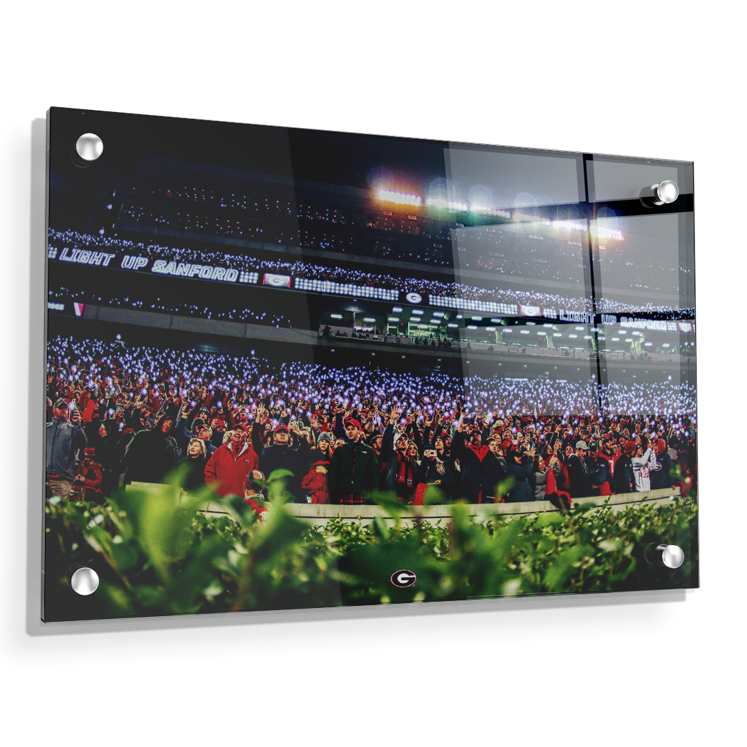 Georgia Bulldogs - Light Up Sanford - College Wall Art #Canvas