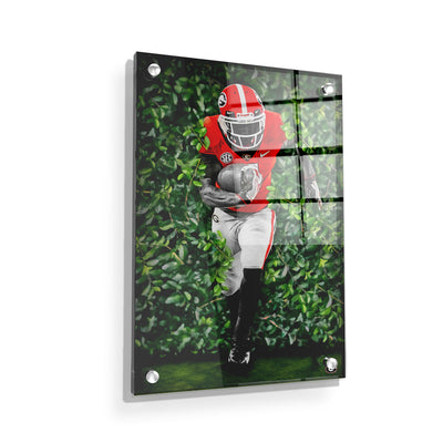 Georgia Bulldogs - Through the Hedges Oil Painting - College Wall Art #Acrylic