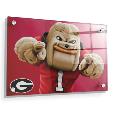 Georgia Bulldogs - Hairy Dawg Landscape - College Wall Art #Acrylic