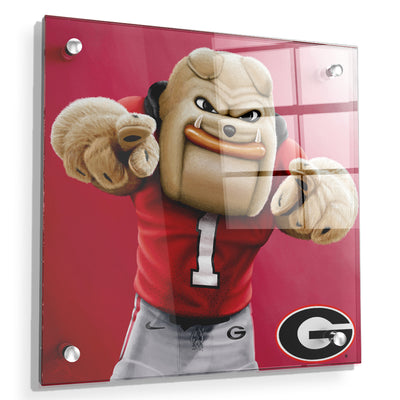 Georgia Bulldogs - Hairy Dawg Tile - College Wall Art #Acrylic