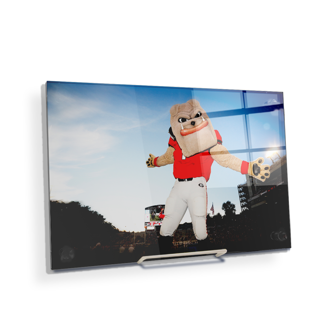 Georgia Bulldogs - Hairy the Dawg - College Wall Art #Canvas