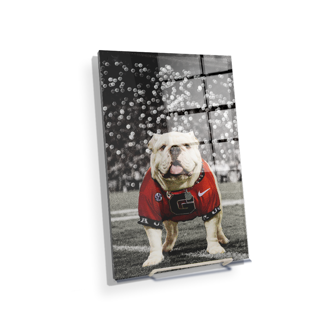 Georgia Bulldogs - Uga Under the Lights - College Wall Art #Canvas