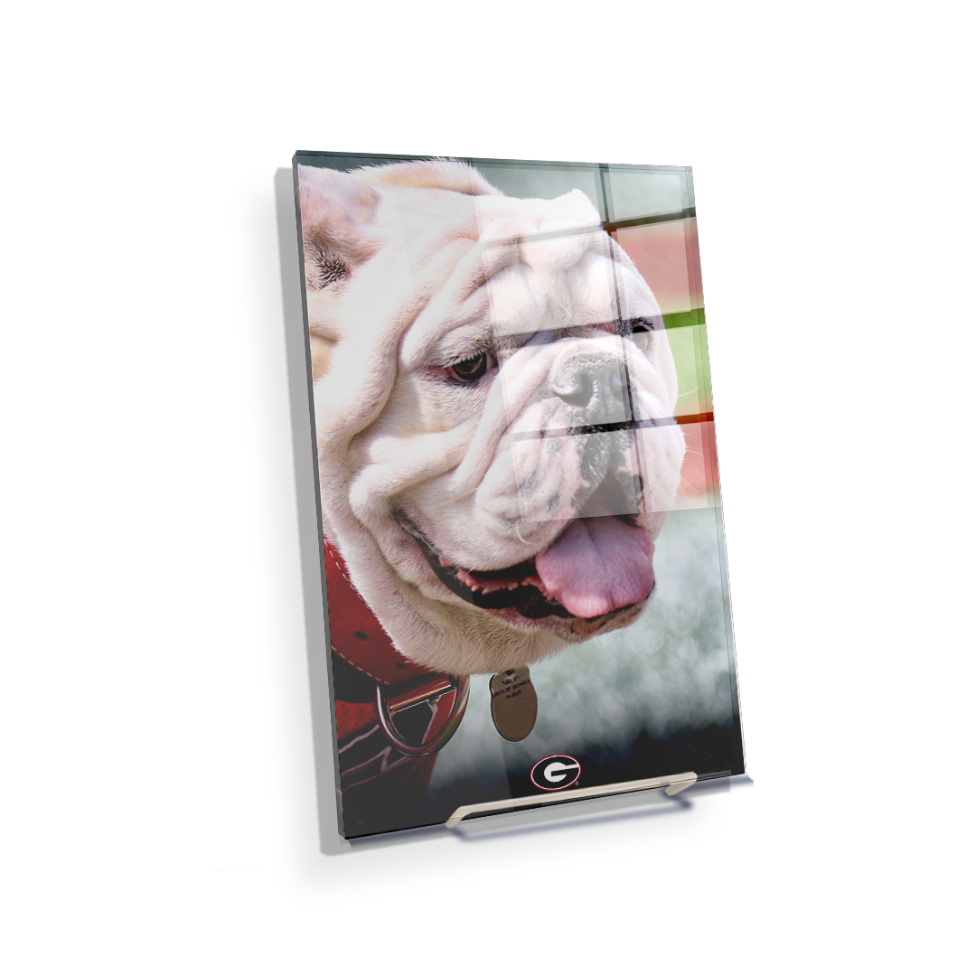 Georgia Bulldogs - Uga Portrait - College Wall Art #Canvas