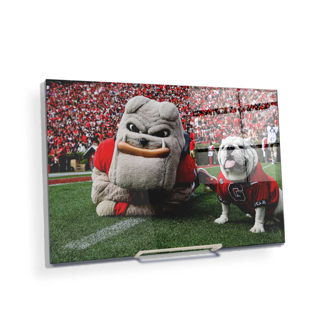Georgia Bulldogs - Hairy and Uga Game Ready - College Wall Art #Canvas