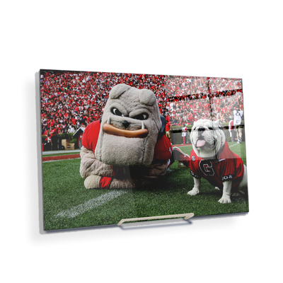 Georgia Bulldogs - Hairy and Uga Game Ready - College Wall Art #Acrylic Mini