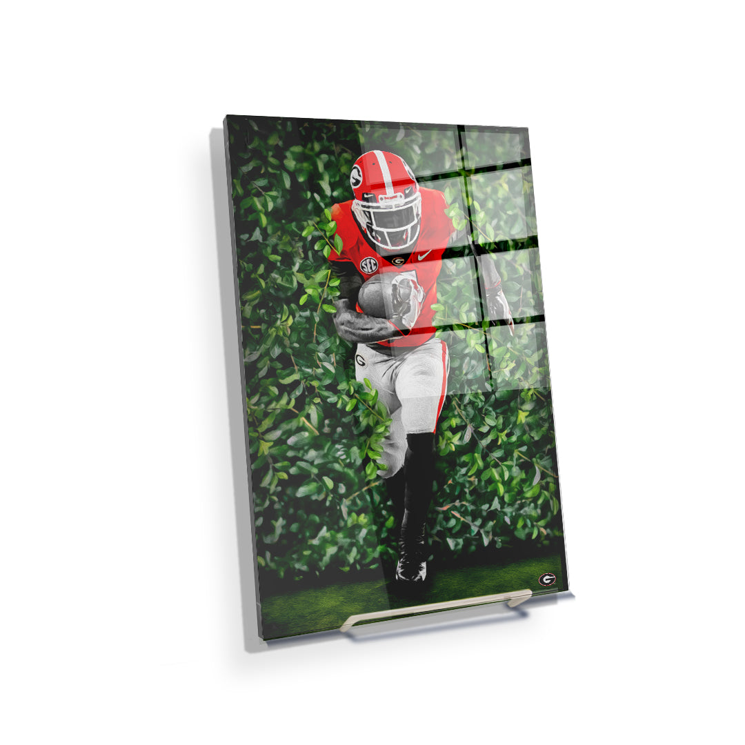 Georgia Bulldogs - Through the Hedges Oil Painting - College Wall Art #Canvas