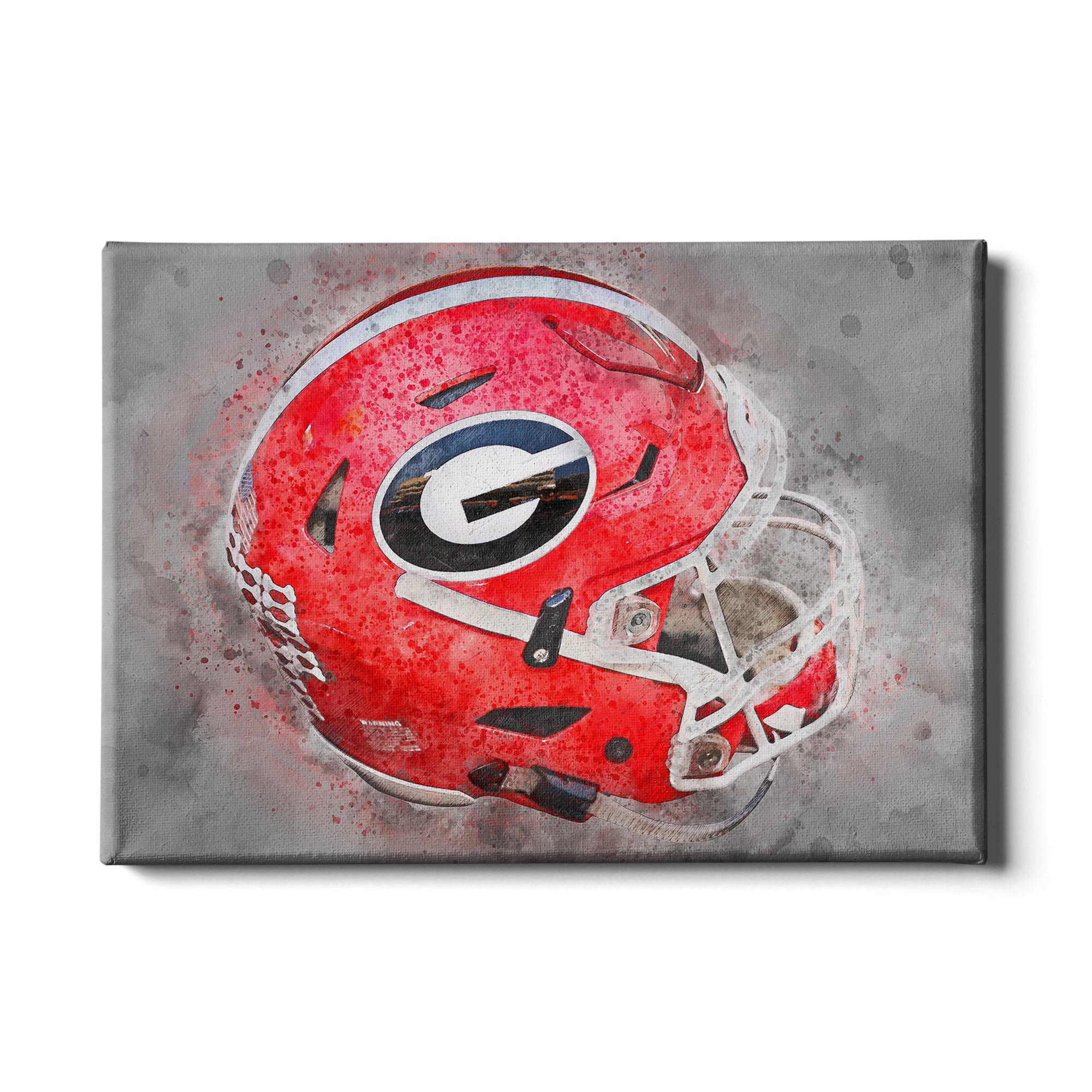 Georgia Bulldogs