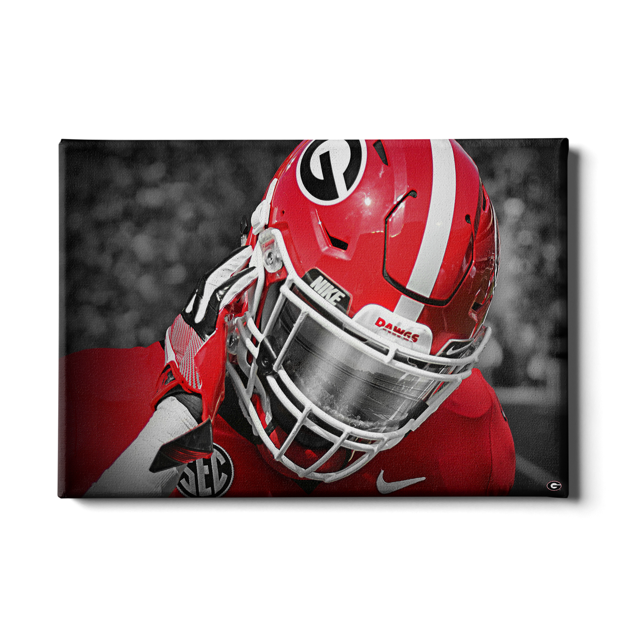 Georgia Bulldogs