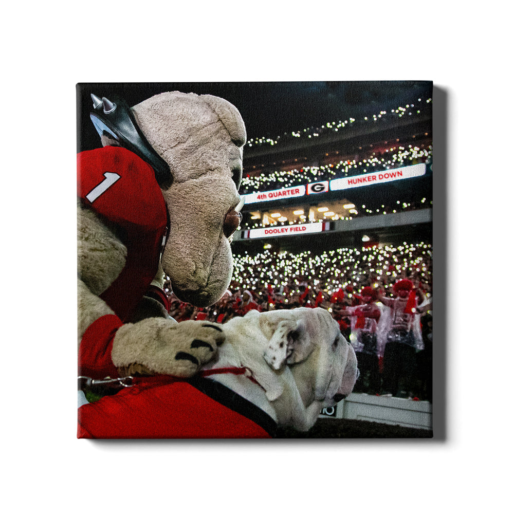 Georgia Bulldogs - 2021 National Champions Shield Single Layer Dimensi -  Dawg Wall Art