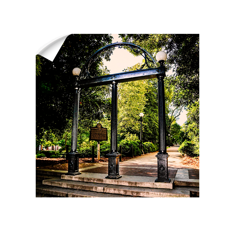 Georgia Bulldogs - The Arch - College Wall Art #Canvas