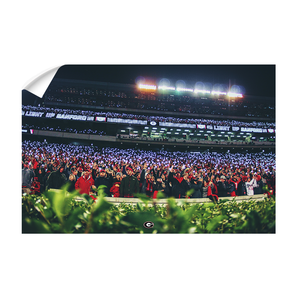 Georgia Bulldogs - Light Up Sanford - College Wall Art #Canvas