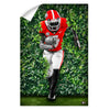 Georgia Bulldogs - Through the Hedges Oil Painting - College Wall Art #Wall Decal