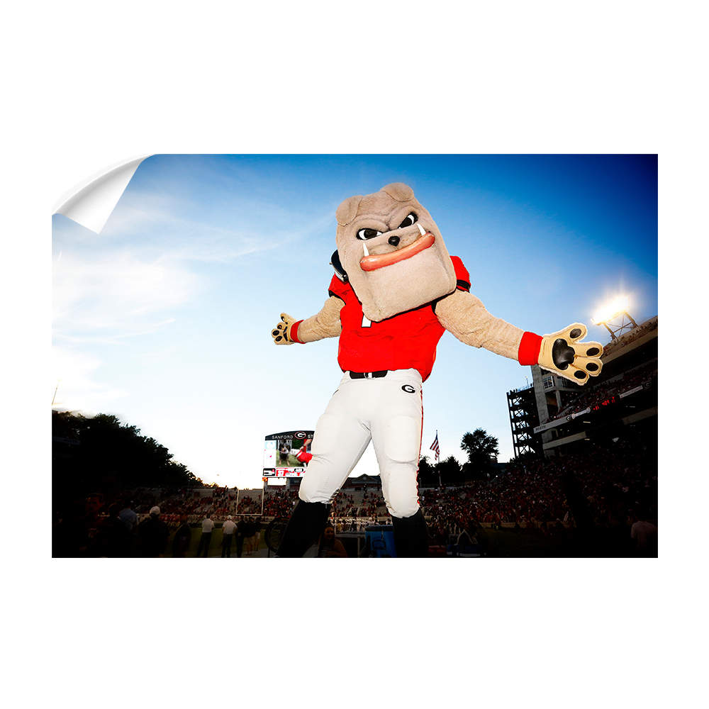 Georgia Bulldogs - Hairy the Dawg - College Wall Art #Canvas