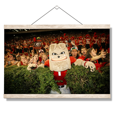 Georgia Bulldogs - Hairy in the Hedges - College Wall Art #Hanging Canvas
