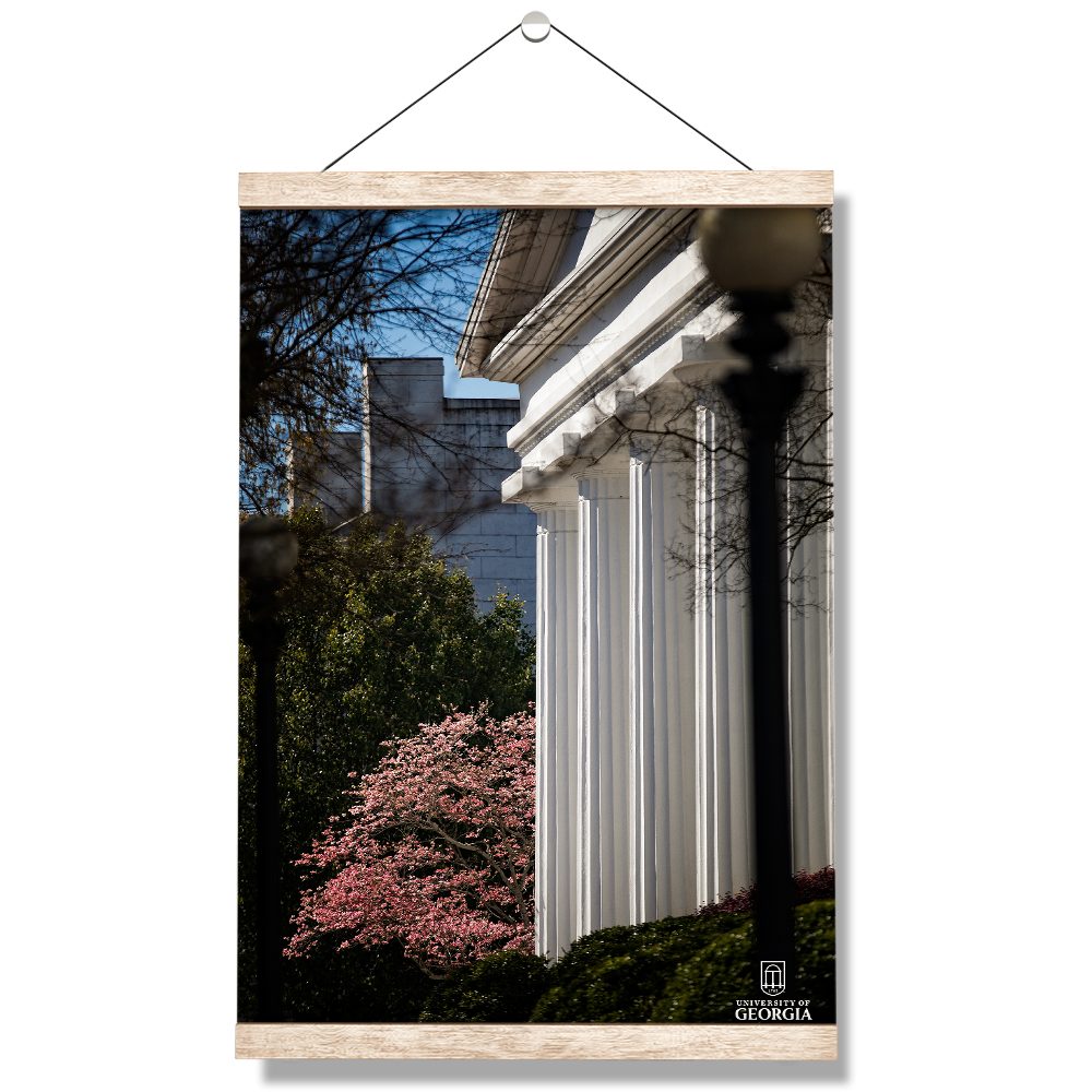 Georgia Bulldogs - Pillars of Strength - College Wall Art #Canvas